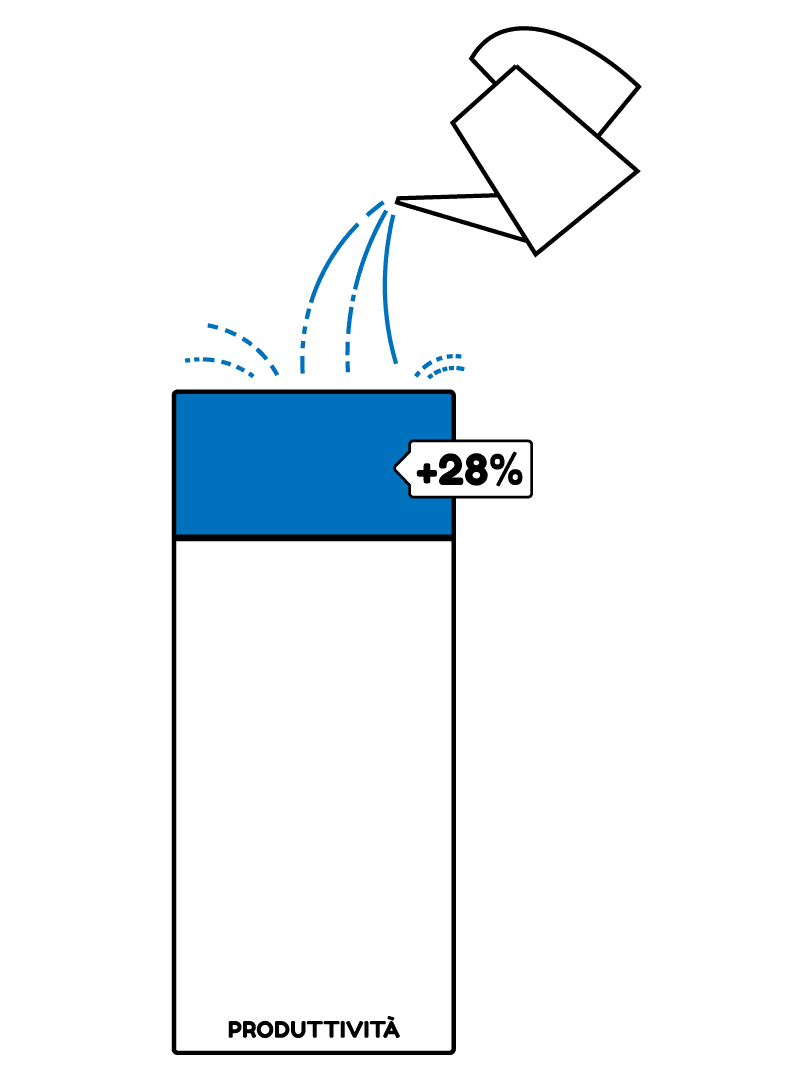 software manutenzione