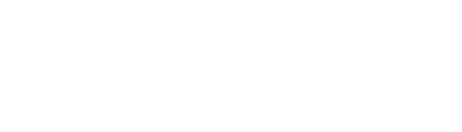 mainsim CMMS logo bianco