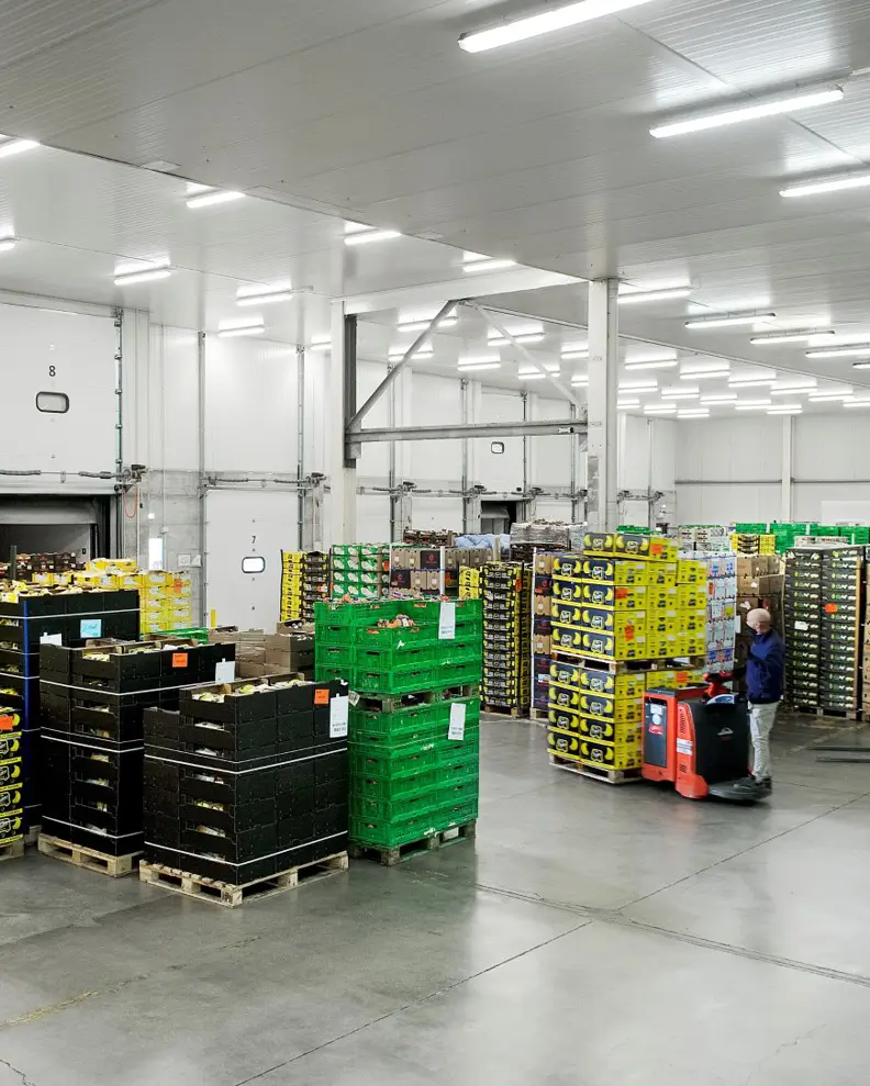 manutenzione impianti packaging